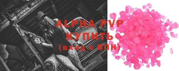 хмурый Абаза