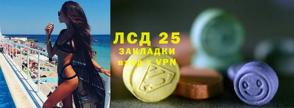 хмурый Абаза