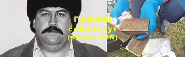 хмурый Абаза