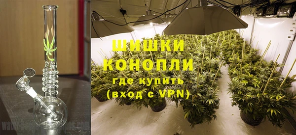 хмурый Абаза