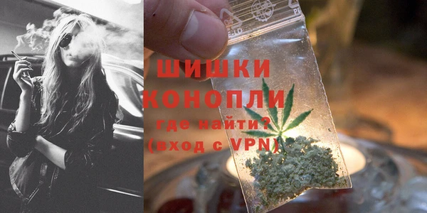 хмурый Абаза