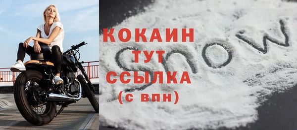 хмурый Абаза