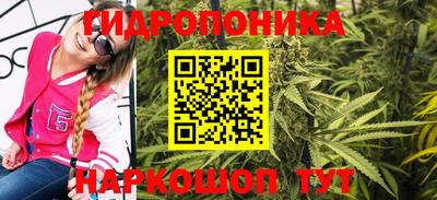 индика Нарткала