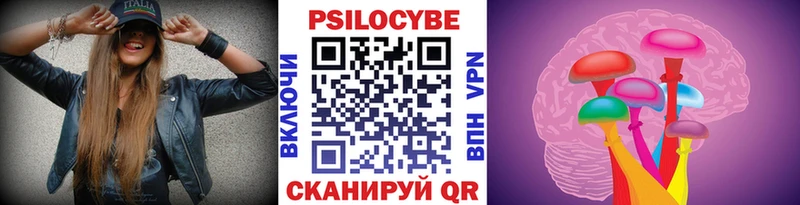 Псилоцибиновые грибы Cubensis  Омск 