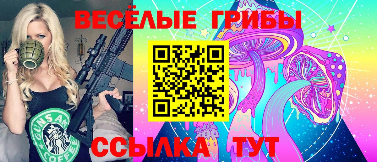 Галлюциногенные грибы Psilocybe Омск