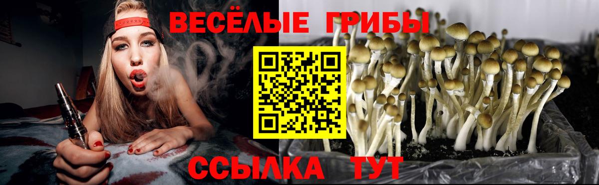 Омск  Галлюциногенные грибы мухоморы  Вход с VPN  Псилоцибиновые грибы прущие грибы 